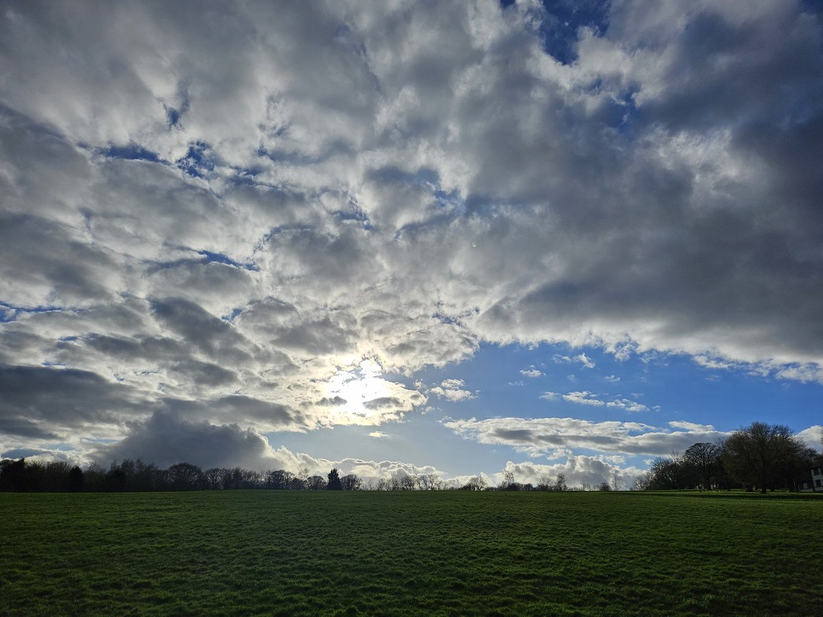 15minuteshipley's tweet image. Sunday walks in Northcliffe Park 
Sunshine, green space, blossom and plenty of mud = just what was needed.
#15minuteShipley 
Explore what's on your doorstep.