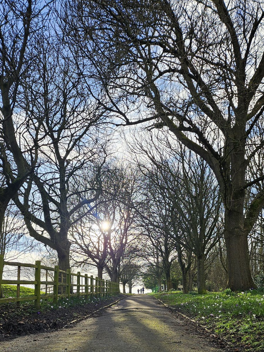 15minuteshipley's tweet image. Sunday walks in Northcliffe Park 
Sunshine, green space, blossom and plenty of mud = just what was needed.
#15minuteShipley 
Explore what's on your doorstep.