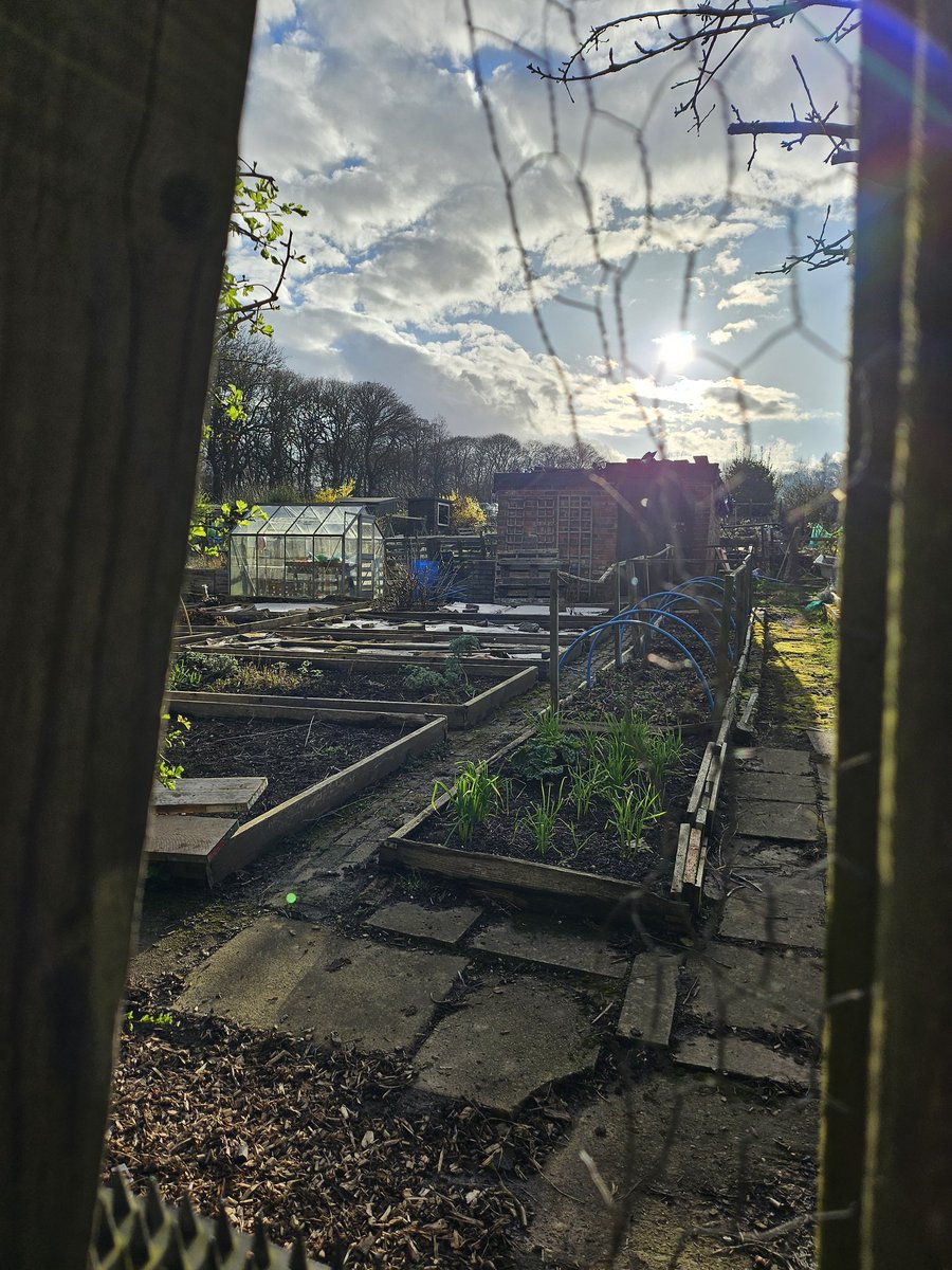 15minuteshipley's tweet image. Sunday walks in Northcliffe Park 
Sunshine, green space, blossom and plenty of mud = just what was needed.
#15minuteShipley 
Explore what's on your doorstep.