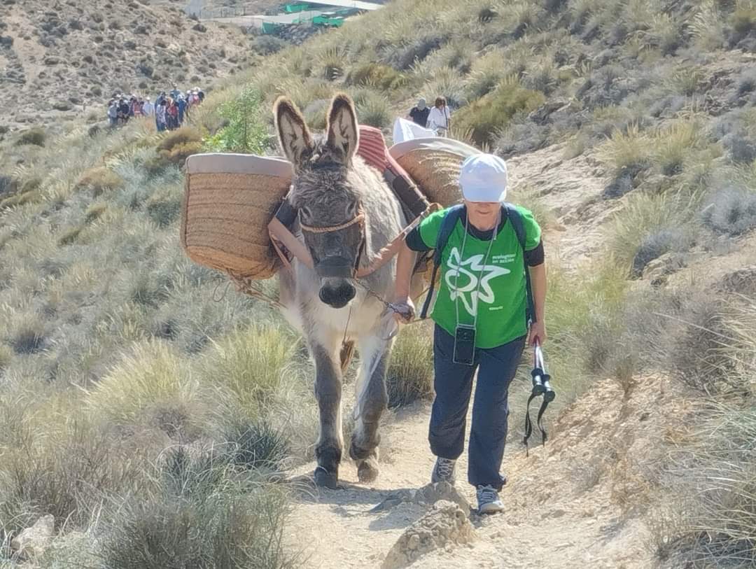 PICPublicos's tweet photo. Éxito del movimiento caminero @PICPublicos @ecologistas @fedme_es que ha llevado la defensa de los caminos públicos y vías pecuarias a más de medio centenar de pueblos a nivel estatal

https://t.co/wcqURikhZO https://t.co/FZ38DjU3kg