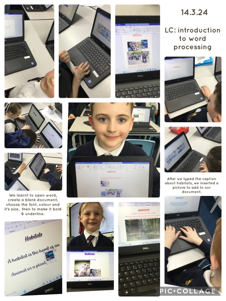 MRPAyear2B's tweet image. We enjoyed creating a word document in ICT this week! #MRPALearning #MRPAcomputing