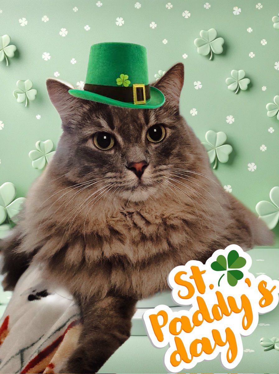Happy St. Patrick's Day from OPie! 🍀