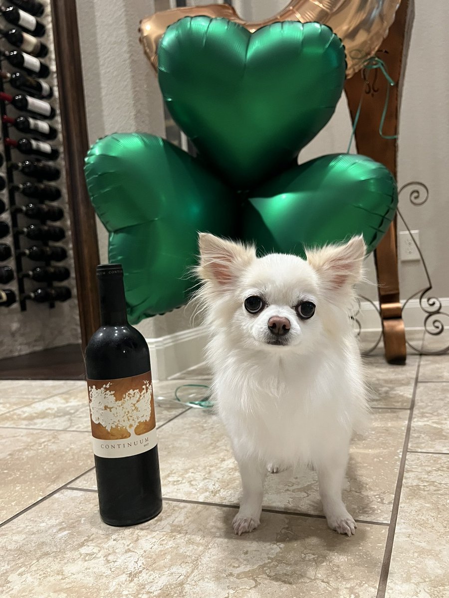 The 2017 Continuum Estate is showing quite well on Clover’s 5th Birthday. #PritchardHill #NapaValley #StPaddysDay #Chihuahua