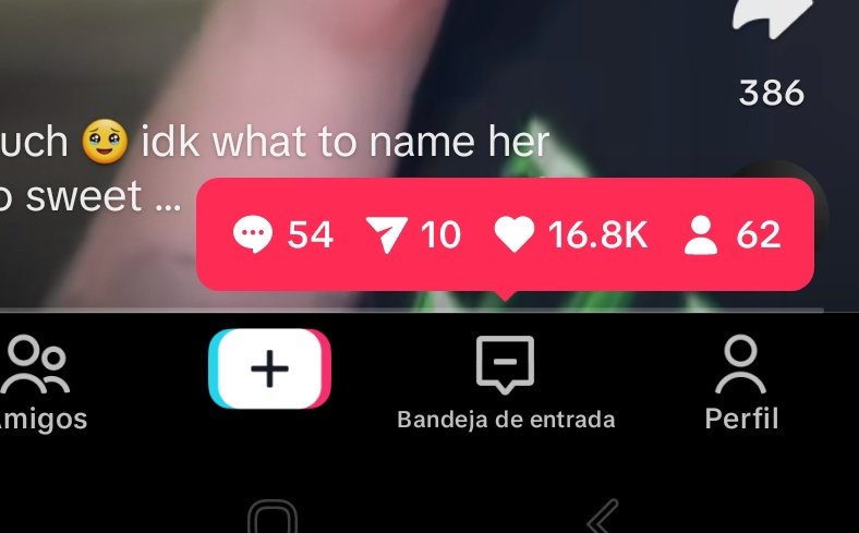 harryscarpenter's tweet photo. pov: subi un video de ross tocandose la poronga adelante mio https://t.co/UmNPv92xNs