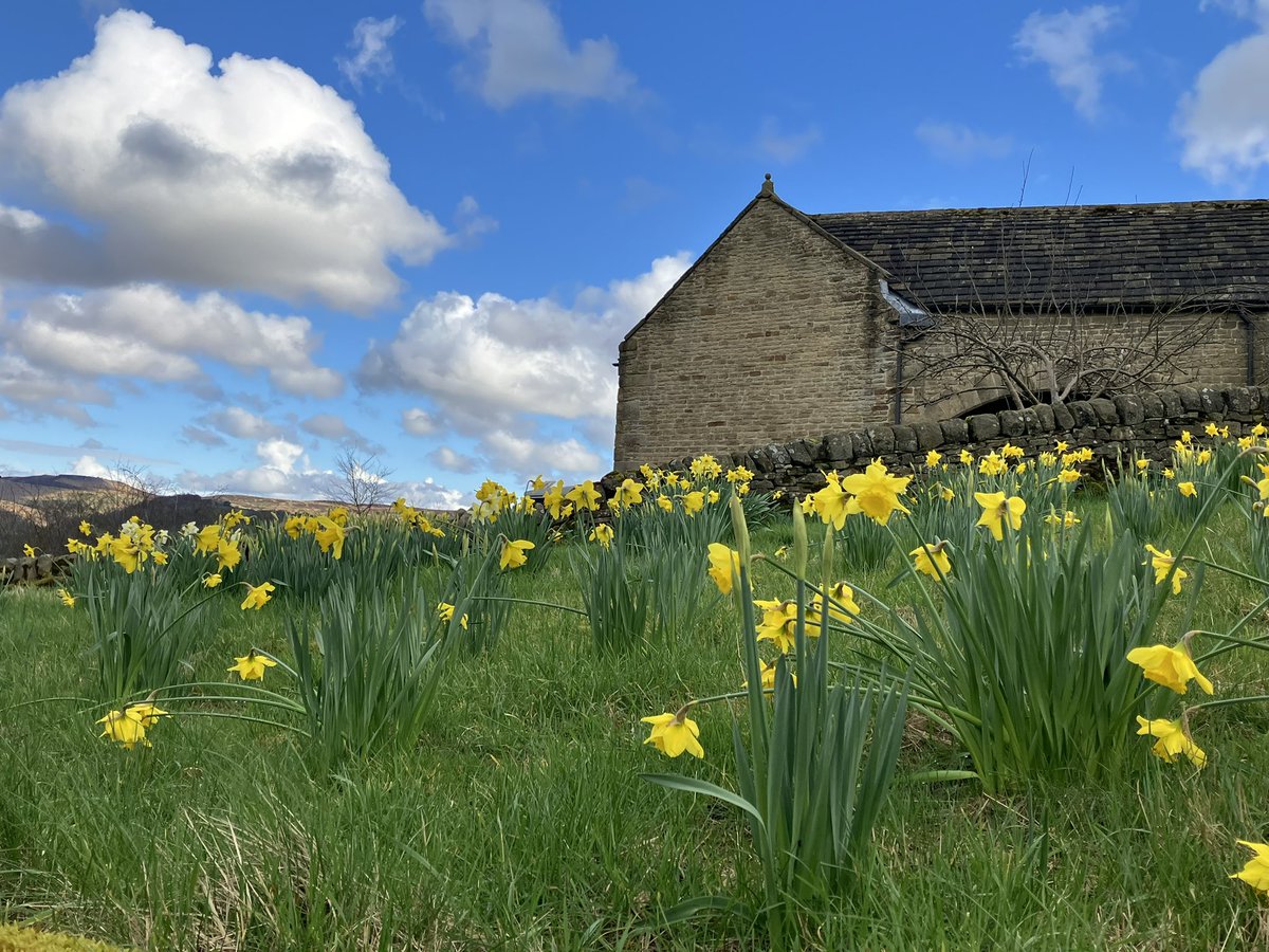 A very spring vibe to today’s #Derbyshire Young Walkers trip into the #PeakDistrict - after the rain had stopped! 7.5 miles of Dark Peak Scenery on Shatton & Abney Moors and some good pub food afterwards. #hiking #hikingadventures #walking