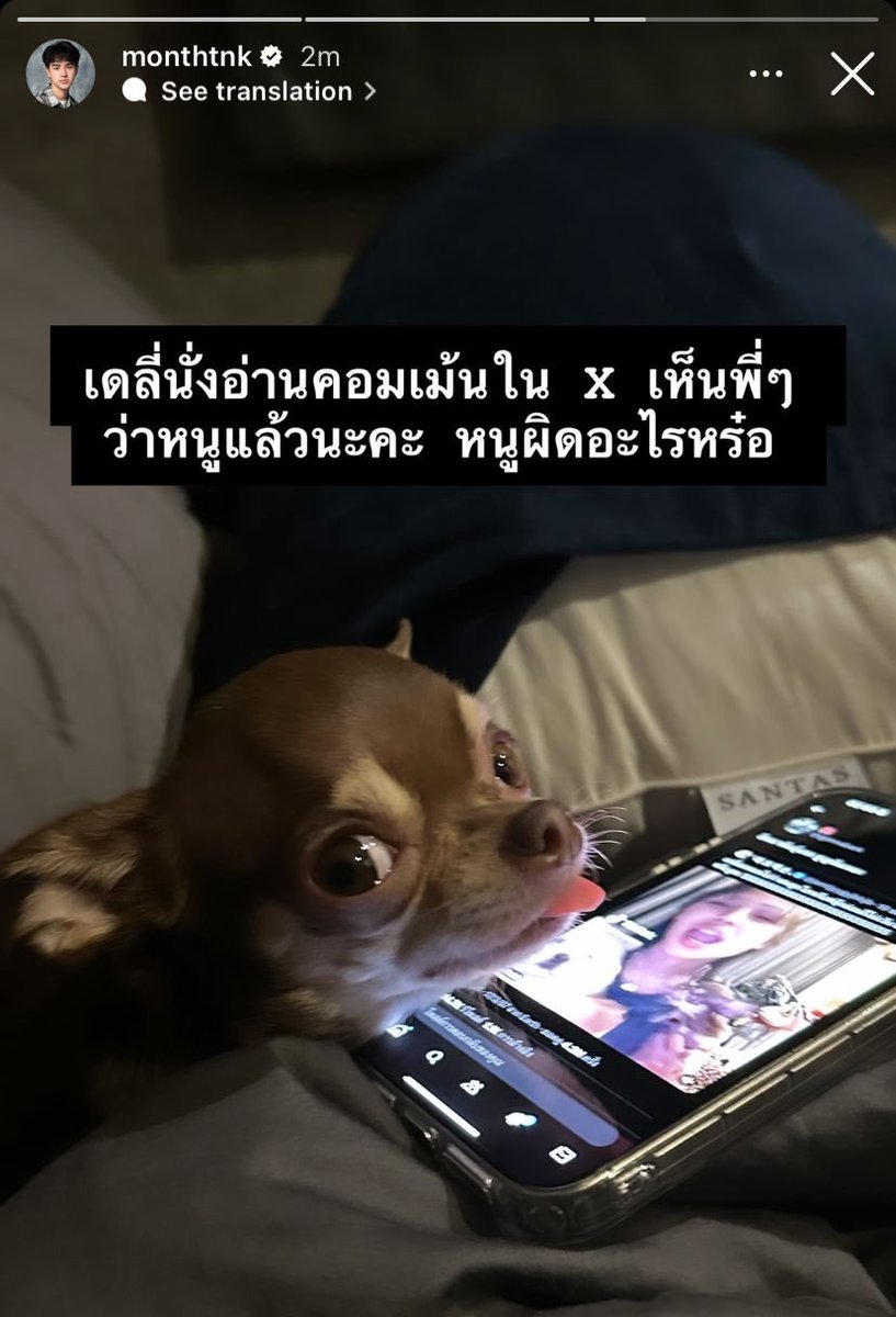 แบมบี้บู๋ว ⭐️ tweet media