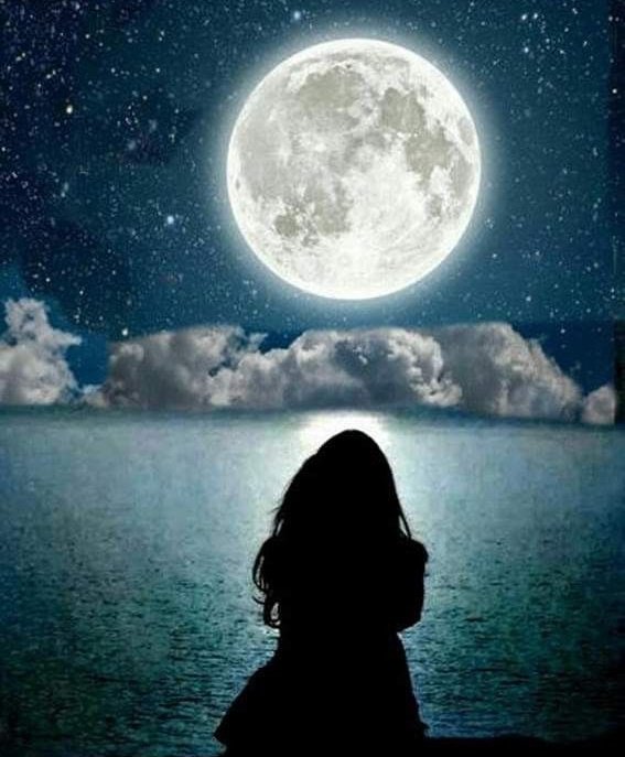Good Night 🌚
Have A Cute Dreams 🌃
Soo Jao RoozeDaaru 🐈