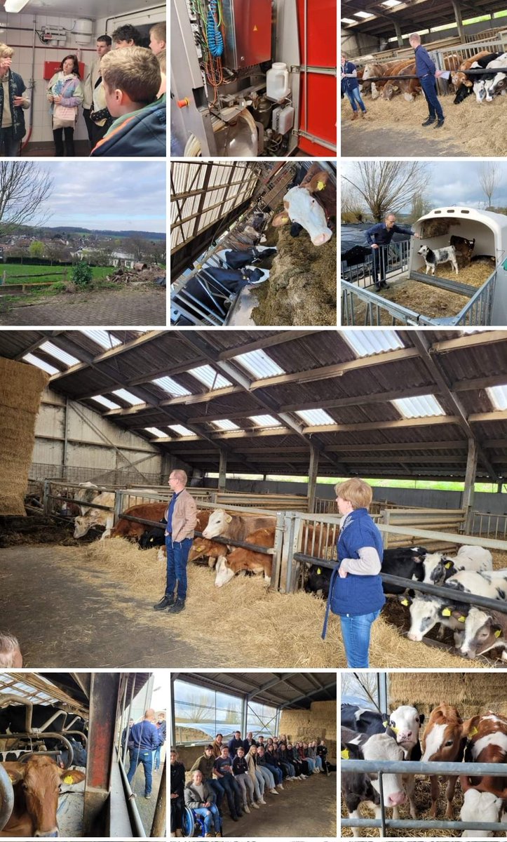JUBILEUMDAG • Een groep leerlingen bezocht de biologische boerderij "Natuurlijk Felix" in Schin op Geul. Ze kregen uitleg over het bedrijf.