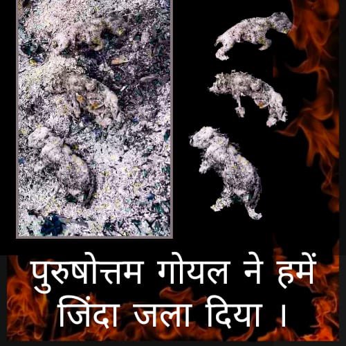 ArjitArjit7262's tweet photo. राजिस्थान हत्यारा प्रदेश गोयल समाज हत्यारा है क्या https://t.co/GnAOtHD594