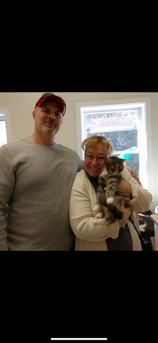 Fauna has found her perfect, loving forever home 🥰

 #animalshelter #animalshelters #fpas #rescuelife #sheltercats #rescuecats #sheltercat #rescuecat #animalrescue #rescue #PleaseShare #foreverpawsfamily #community #adopt #familypetsaresuperheros #CatsOfInsta