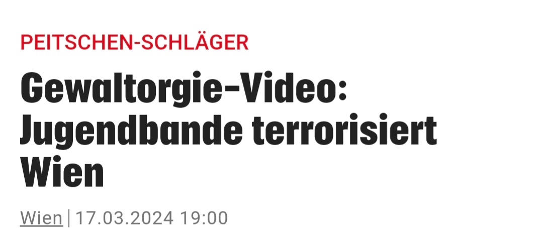 Migranten Bubibanden , Peitschläger, Sittenwächter, Vergewaltiger, Messermorde....aber wir haben kein Problem in Wien...am besten sofort Demo gegen Rechts organisieren!!