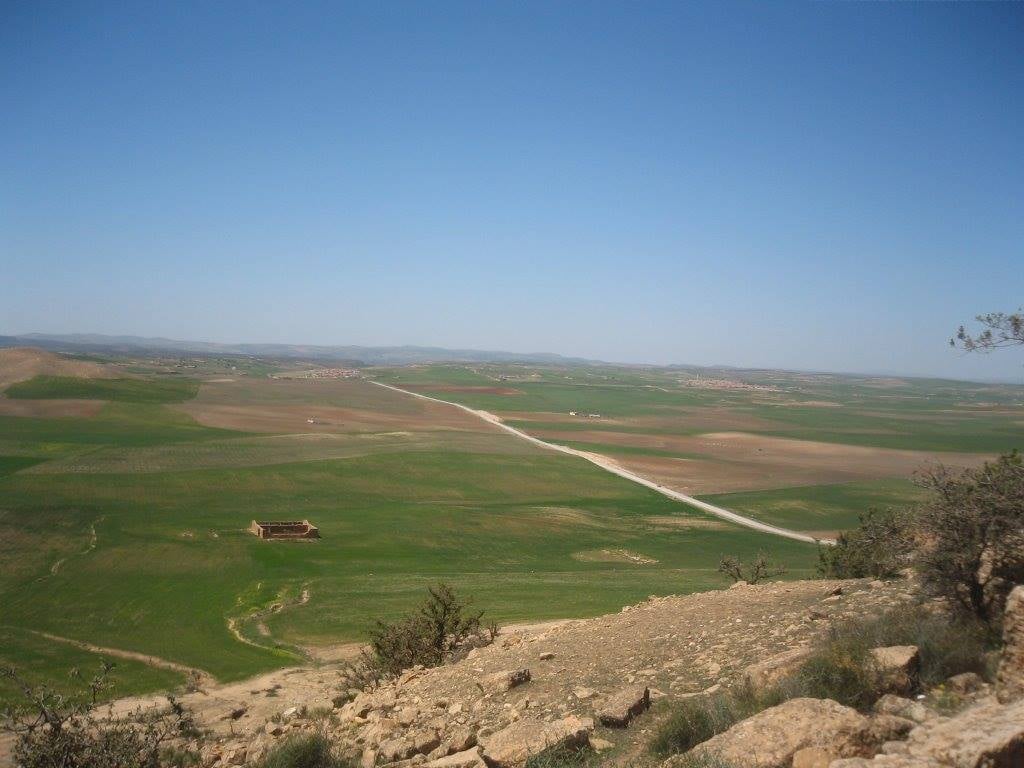 maelassal's tweet photo. Les pyramides de #Tiaret, uniques en #Algérie et au #Maghreb. Âgés de plus de 16 siècles, les Djeddars de #Frenda, au nombre de 13 et érigés sur deux collines distantes de 6 km l’une de l’autre dans le nord du pays, étaient des monuments funéraires berbères 🇩🇿

#الجزائر
#Algeria https://t.co/s9GKTB7x93
