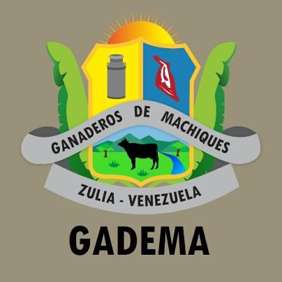 eleisiespinaad's tweet photo. Dada la importancia de la producción Agroalimentaria del País, felicito en su Aniv 62° a una d las Asociaciones d Ganaderos más pujantes de Vzla🇻🇪 #17Marzo1962 se funda la Asociación de Ganaderos de Machiques (GADEMA) 1er Pdte: Román Romero. Honra a sus trabajadores y productores https://t.co/Za331gITtX
