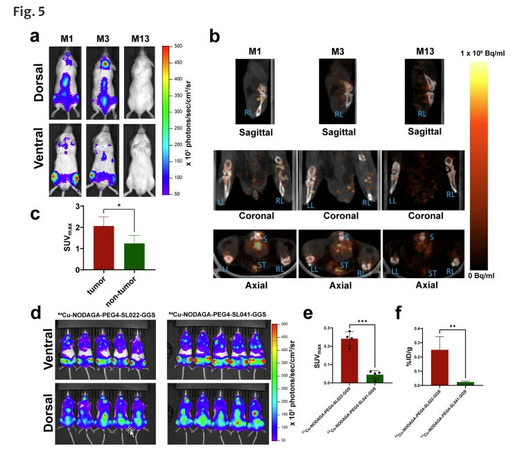 Achilefu Lab (@achilefu_lab) on Twitter photo Congratulations also to Anchal Ghai
<a href="/aanchalghai_14/">Anchal Ghai</a> for her new publication in Molecular Imaging and Biology: Development of New CD38 Targeted Peptides for Cancer Imaging | Molecular Imaging and Biology (springer.com)
@BME_UTSW Congratulations also to Anchal Ghai
<a href="/aanchalghai_14/">Anchal Ghai</a> for her new publication in Molecular Imaging and Biology: Development of New CD38 Targeted Peptides for Cancer Imaging | Molecular Imaging and Biology (springer.com)
@BME_UTSW