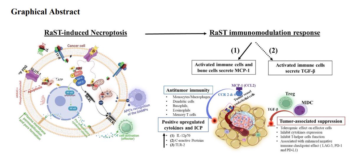 Congratulations to Christopher Egbulefu on his new preprint publication on Research Square: Induction of complementary immunogenic necroptosis and apoptosis cell death pathways inhibits cancer metastasis and relapse. assets.researchsquare.com/files/rs-39922…… @BME_UTSW