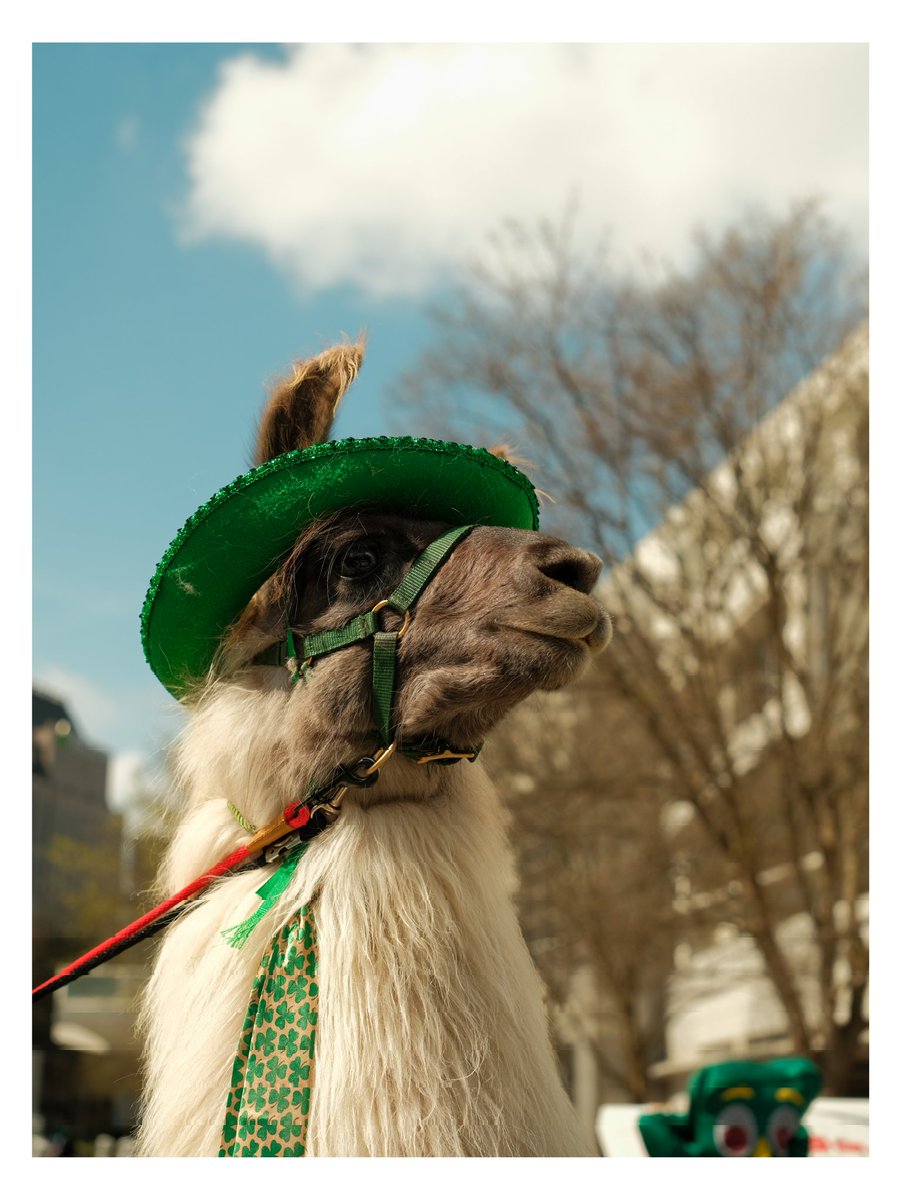 jcmc5v's tweet photo. San Patricio 🦙🍀
Fujifilm X-T3 33mm 1.4
@FujifilmMX https://t.co/U7PzWvHMlJ