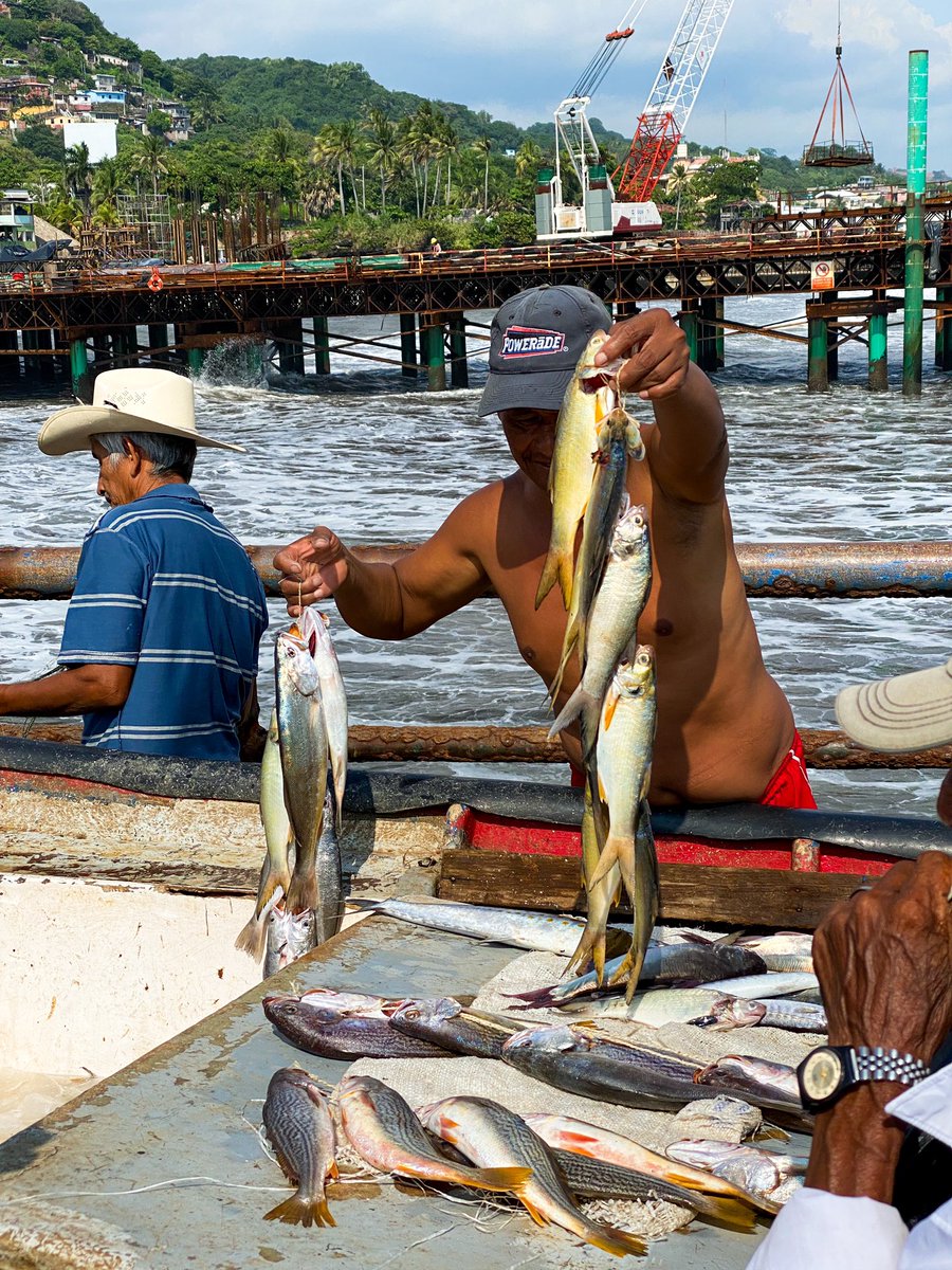 transivar's tweet photo. Si te gusta el pescado y el marisco fresco, no puedes perderte la vista al Puerto de La Libertad 🎣🌊

Próximamente con TRANSIVAR🇸🇻

#travel #nature #explore #travelphotography
#wanderlust #beach #nature #vacation
#fishing #sivar #transivar #lalibertad
#elsalvador https://t.co/m7ek5kW32B