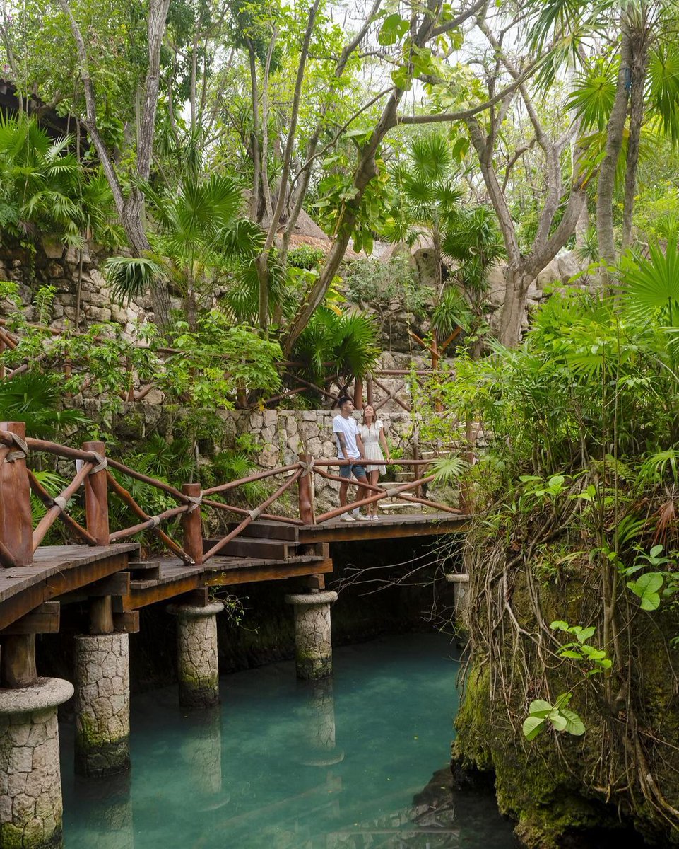 Embark on a magical journey at @xcaretpark in @PDelCarmenMx! 🏛️ Swim through history in the Pre-Hispanic River 💦 Wander through breathtaking caverns in the Blue River. 🤿 Discover underwater wonders in the Manatee River. Dive in 👉 mexicancaribbean.travel 📷 IG xcaretpark