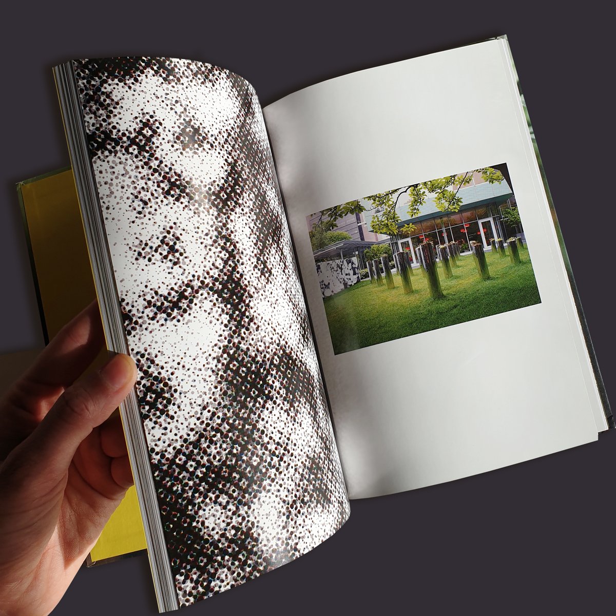 actar_publisher's tweet image. It showcases species that are in #cultivation or in #profusion,  but rarely purposefully planted. Due to the diminutive size of their features, these plants are often overlooked and therefore tend to be under-specified.