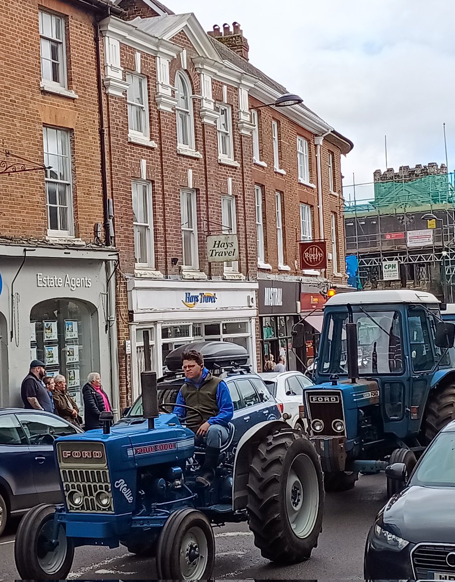 Went to brilliant talks at @ShaftesBookFest by @anitaroy1000, @StephenMoss_TV and Brett Westwood. Caught up with lovely writer friends, and to top it off there were classic tractors. Great day off!
