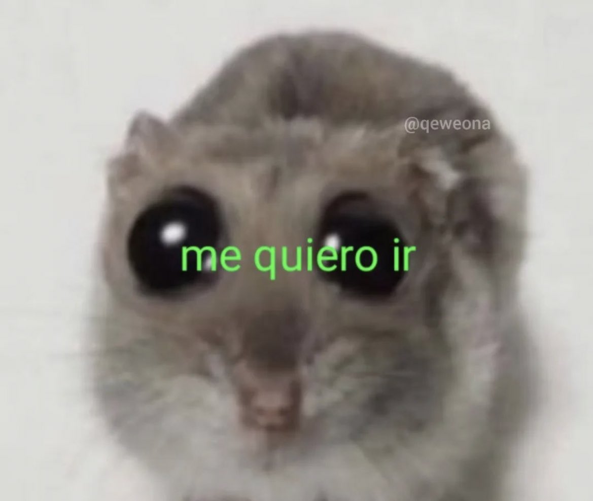 urpussyclean's tweet photo. el lunes nada más llegar a la primera clase https://t.co/iQ7Oadbajm