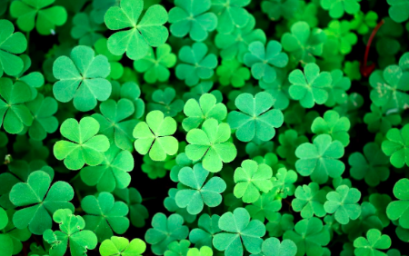 Happy St. Patrick's Day to our followers, wherever in the world you may be! Thanks for continuing to support us! #mentalhealth #mentalhealthresearch #mentalhealthmatters #StPatricksDay #StPD2024