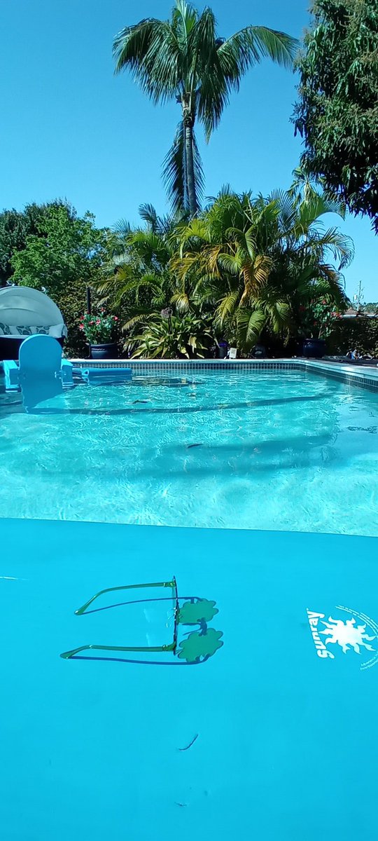 todayInIreland's tweet photo. St. Patrick's Day.
Miami edition.
☘️
#tiiflorida #poolday #irishinamerica https://t.co/Zh7bs8L3fY