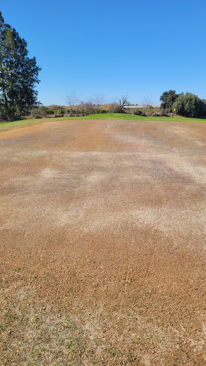 jose muñoz tweet media