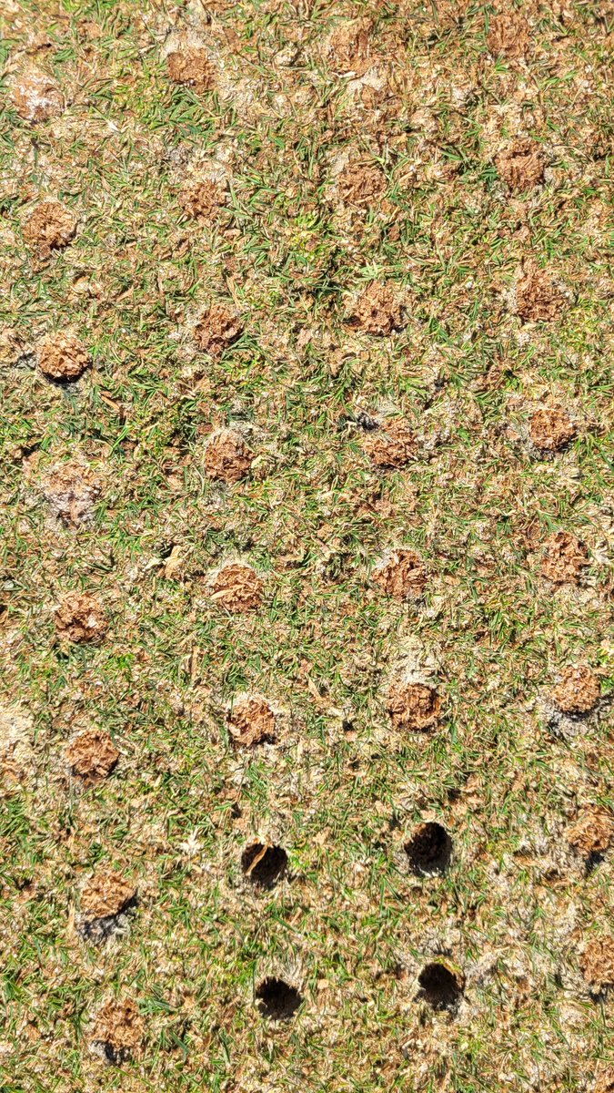 jose muñoz tweet media