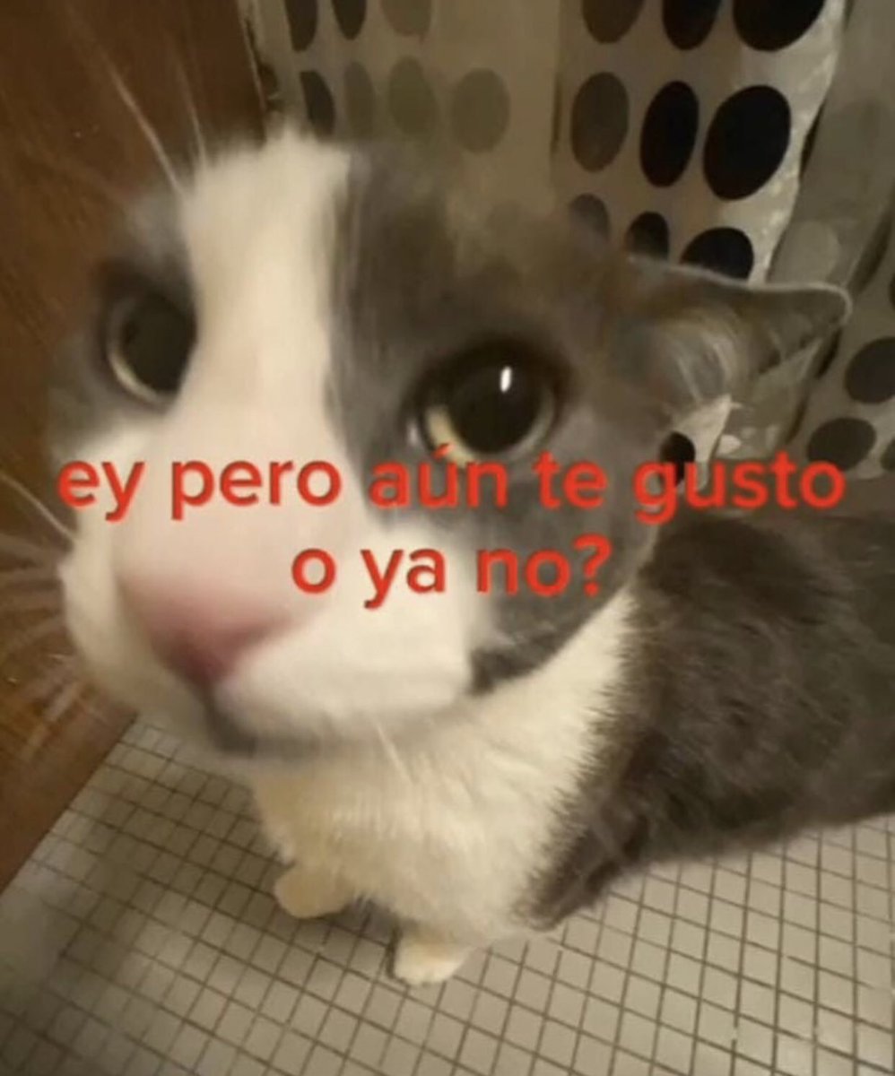 cxrrly's tweet image. Solo para saber