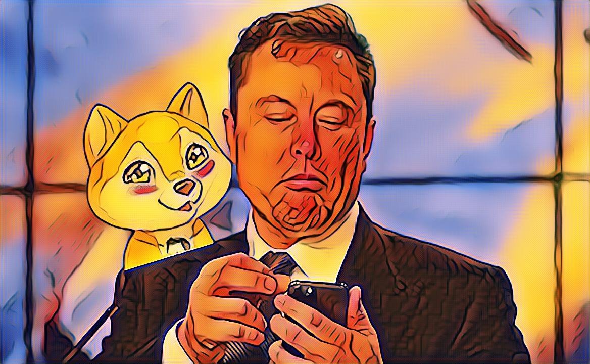 Musk Doge ($MKD) (@muskdoge_sol) / Posts / X