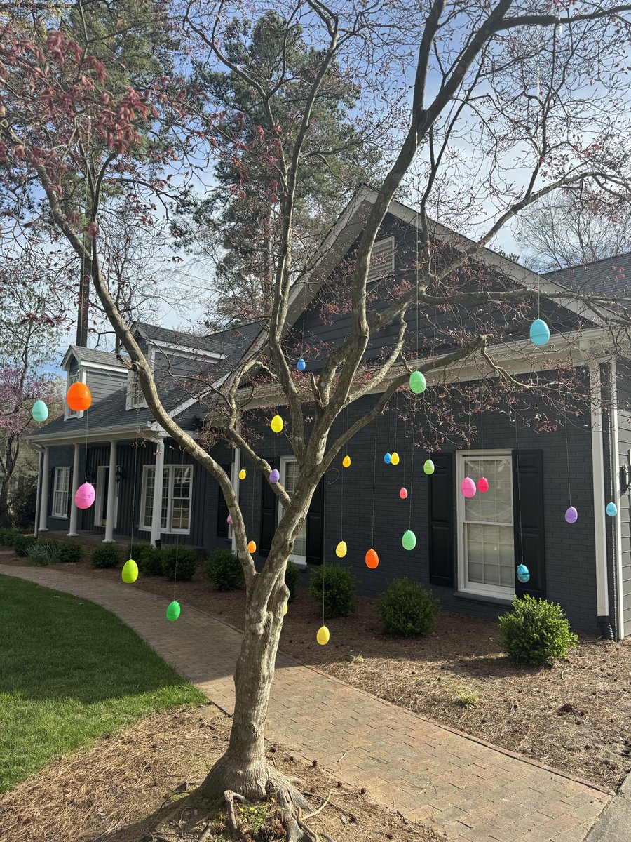 This special tree does it all. 🐣 🥚 hello, spring! 🌷🌺🪻