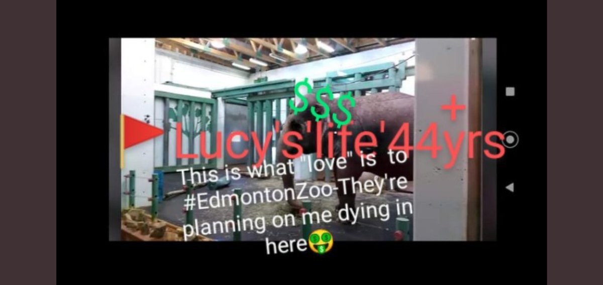 JulieKi53713414's tweet photo. ๐จ๐ฆ๐๐คโ๏ธ๐๐ญ
Edmonton Valley Zoo @GlobalEdmonton ๐ค @CAZA_AZAC
@AonCanada ALL SURPRE$$ING HIDING Dr Patricia London & @IngoSchmidinger total 29pg assessments published Mar21/23
because... #GREED #EGO #Deception #MONEY #AnimalMortalityInsurance ๐ค๐ต
@ElephantsTN STILL WAITS ๐บ๐ฒ https://t.co/MLlZThIfRw