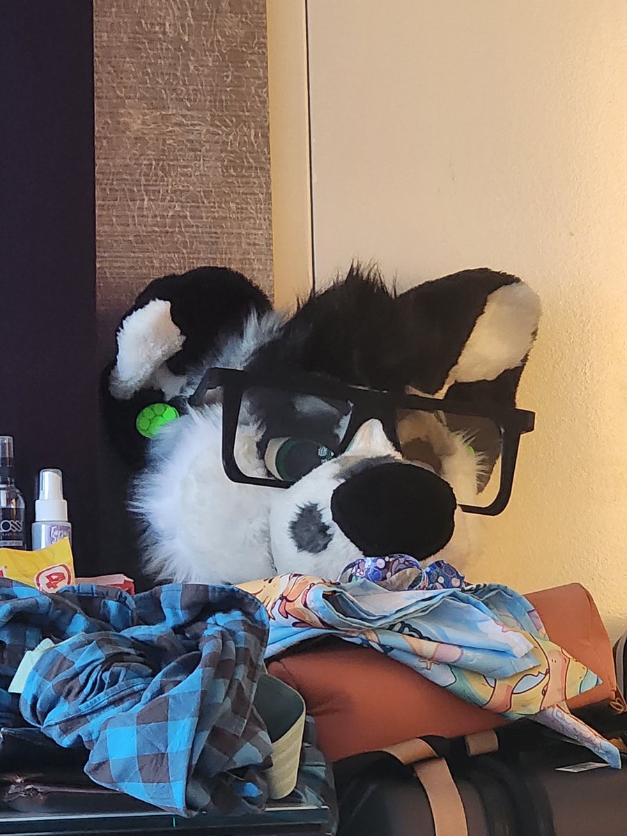 Ryker Mutt (@RykerMutt) / Posts / X