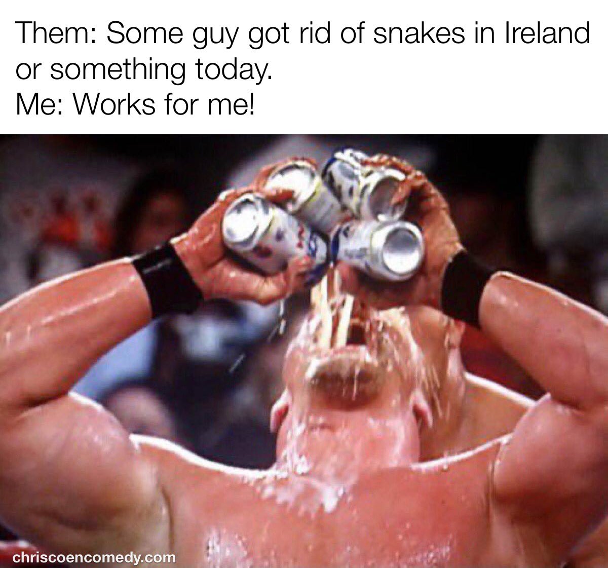 chriscoencomedy's tweet photo. #StPaddysDay #StPatricksDay https://t.co/4Z1EmatsYK