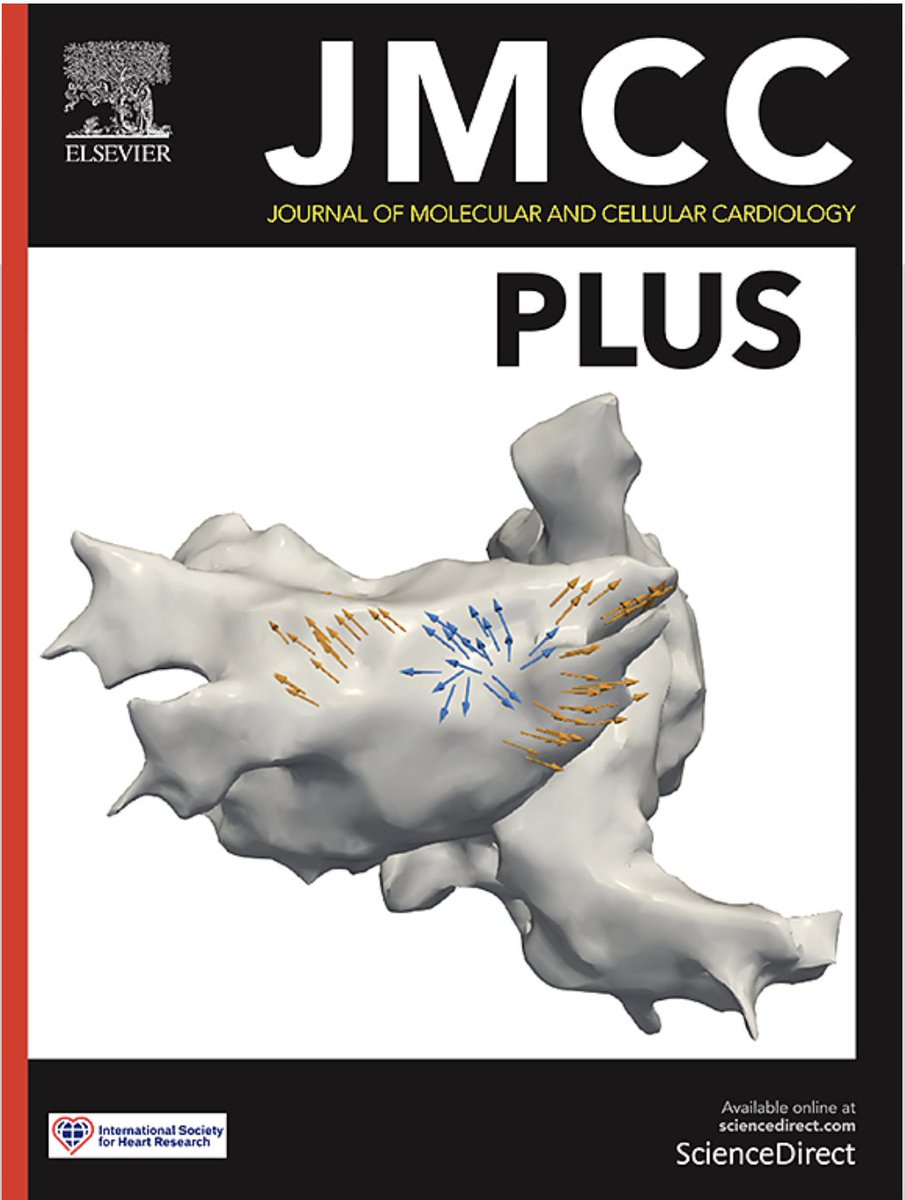 I love @JMCCPlus new front cover. Well done to @CARIMMaastricht and others (funded through @PersonalizeAF). #CardioTwitter #EPeeps @UliSchotten @JMCCardiology @ECI_ISHR @ISHR_ES @ISHR_AUS @ISHR_NAS @ISHR_LAT Read the paper here: sciencedirect.com/science/articl…