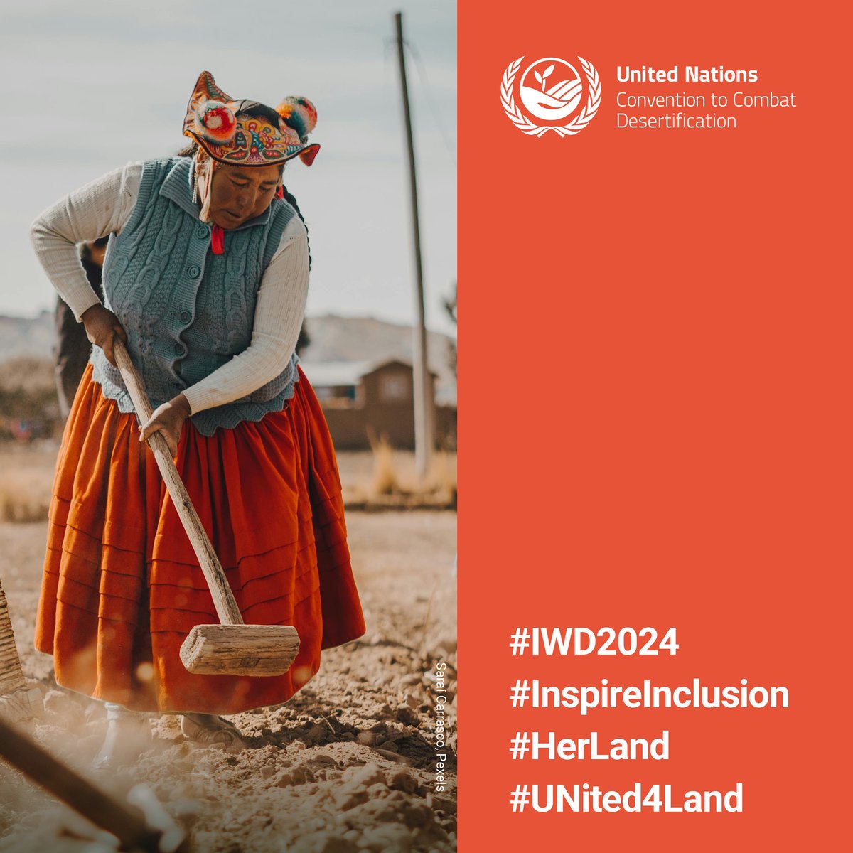 Women's 🚺🌱 land rights = potential to boost global economy 🌐 by $1T and reduce food insecurity by 45M. It's time for equal opportunities.

#GenderEquality #WomensMonth #UNited4Land #InspireInclusion #HerLand
