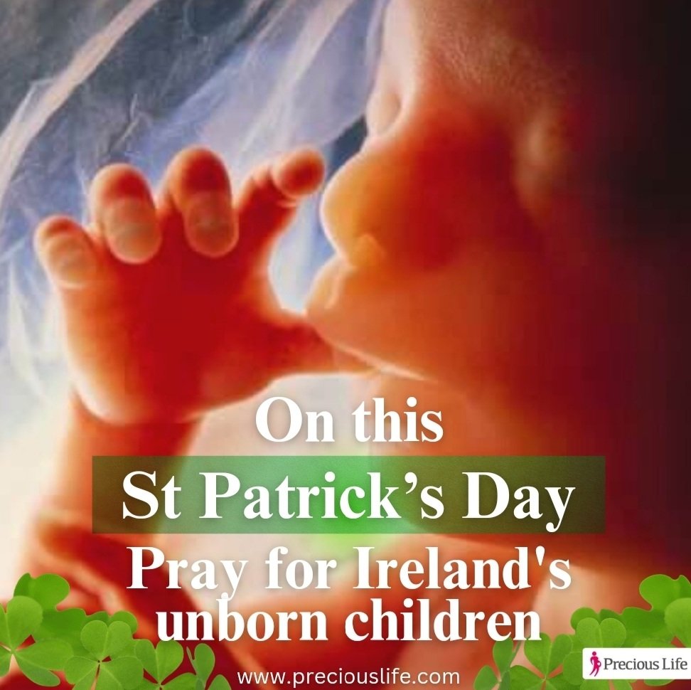 On this Saint Patrick’s Day, please pray for Ireland's unborn children.🙏🏻☘

#PraytoEndAbortion #StPatricksDay
