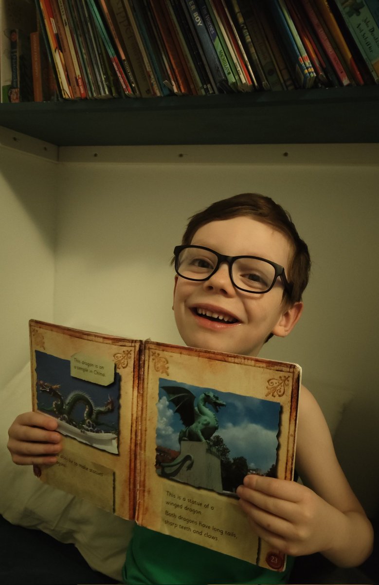 midwifefletcher's tweet photo. Alexander recognised the Dragon on his reading book as the Dragon Bridge in Ljubljana from when we visited in 2022 @SanSior https://t.co/c5ZkVQeO45