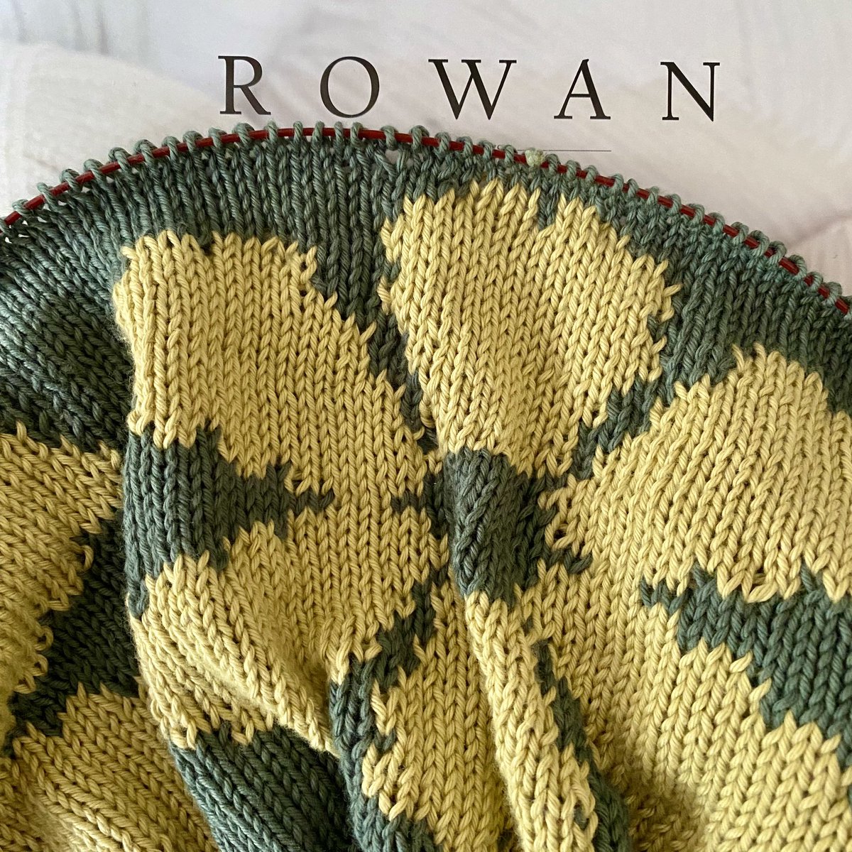 Knitting for spring. Pattern is Exotic from Rowan Magazine 75 by Lisa Richardson. Yarn is @rowanyarns Summerlite DK.

#knitting #knittersofinstagram #rowanyarns #knitrowanbyme #summerlitedk #summerlite4ply #intarsia #spring #spring2024