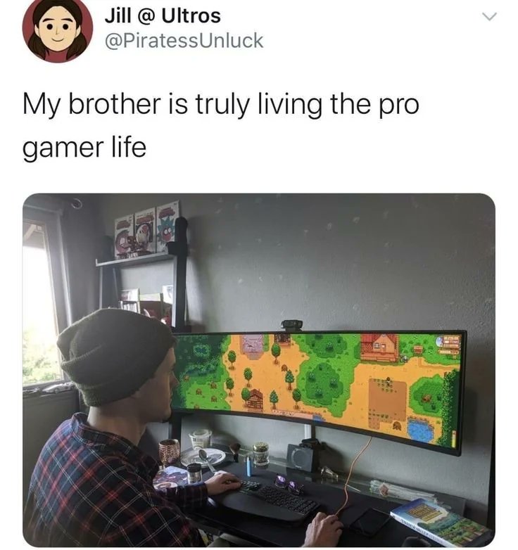I have no words I-

posted by u/Juice_box_12. Post url: shorturl.at/mtwJ3 #StardewValley #Stardew
