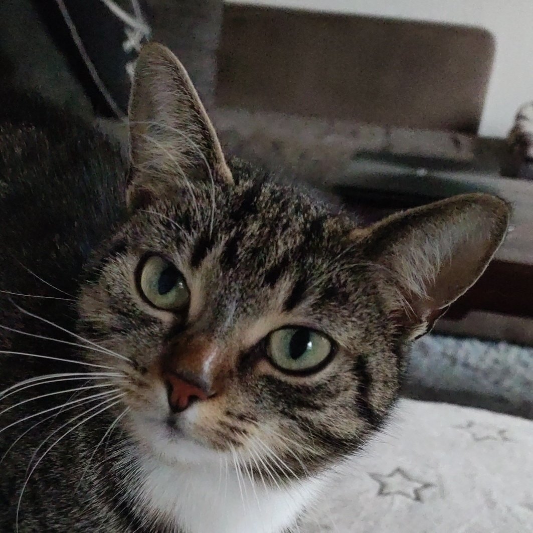 Die Zeit ist reif, hab jetzt einen Privataccount <a href="/nida150hd/">xXnida150hd3dlpxdXx</a>
Fragt gerne an und so