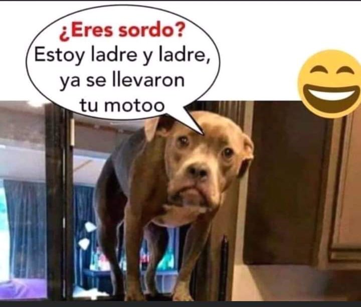 No mas 🤭