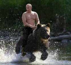 DTrumpwon20_20's tweet photo. π¨#BREAKING: Vladimir Putin reelected as President of Russia.
#VladimirPutin #Reelected #Russia #StillPresident https://t.co/tpsOVieggZ