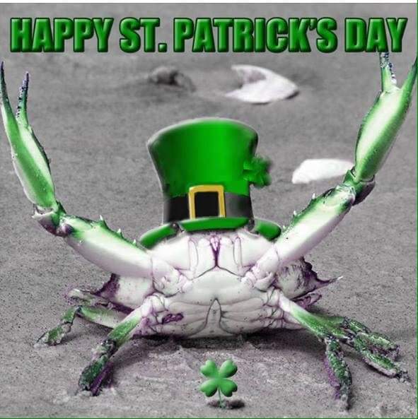 Stainerdenise2's tweet photo. @Eagles Happy st.patricks day https://t.co/cAiNhugbPP