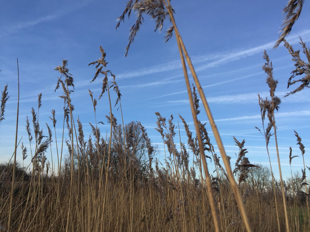 fvdboorn's tweet photo. @superjan Januari 2016. Zuid Beveland. https://t.co/y3CzGsO5sx