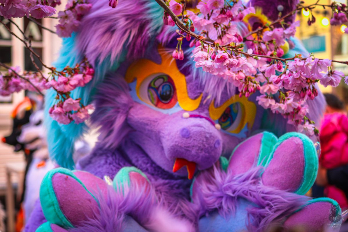 Orion Dornklaue Picture (@dornklaue89314) on Twitter photo Am 16.03.2024 fand der Fursuit Walk in Oldenburg Niedersachsen statt.
Wir waren ganz schön viele Leute heute Insgesamt über 40 flauschige Fursuiter, Es ist unglaublich toll gewesen so viele zu sehen und so viel Flauschige Momente festzuhalten.
Fotos: <a href="/orion_dornklaue/">Orion Dornklaue🐺🌲🌕</a> 🐺🐾📷 Am 16.03.2024 fand der Fursuit Walk in Oldenburg Niedersachsen statt.
Wir waren ganz schön viele Leute heute Insgesamt über 40 flauschige Fursuiter, Es ist unglaublich toll gewesen so viele zu sehen und so viel Flauschige Momente festzuhalten.
Fotos: <a href="/orion_dornklaue/">Orion Dornklaue🐺🌲🌕</a> 🐺🐾📷