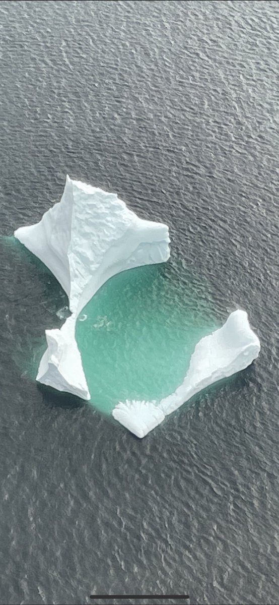 One of my FAV Iceberg shots I’ve ever taken! This was just off of St. Anthony, NL