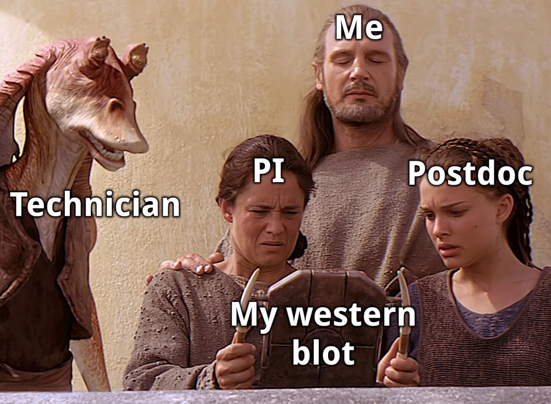 DNA&RNA Universe 𝕏 (@dna_rna_uni) on Twitter photo 