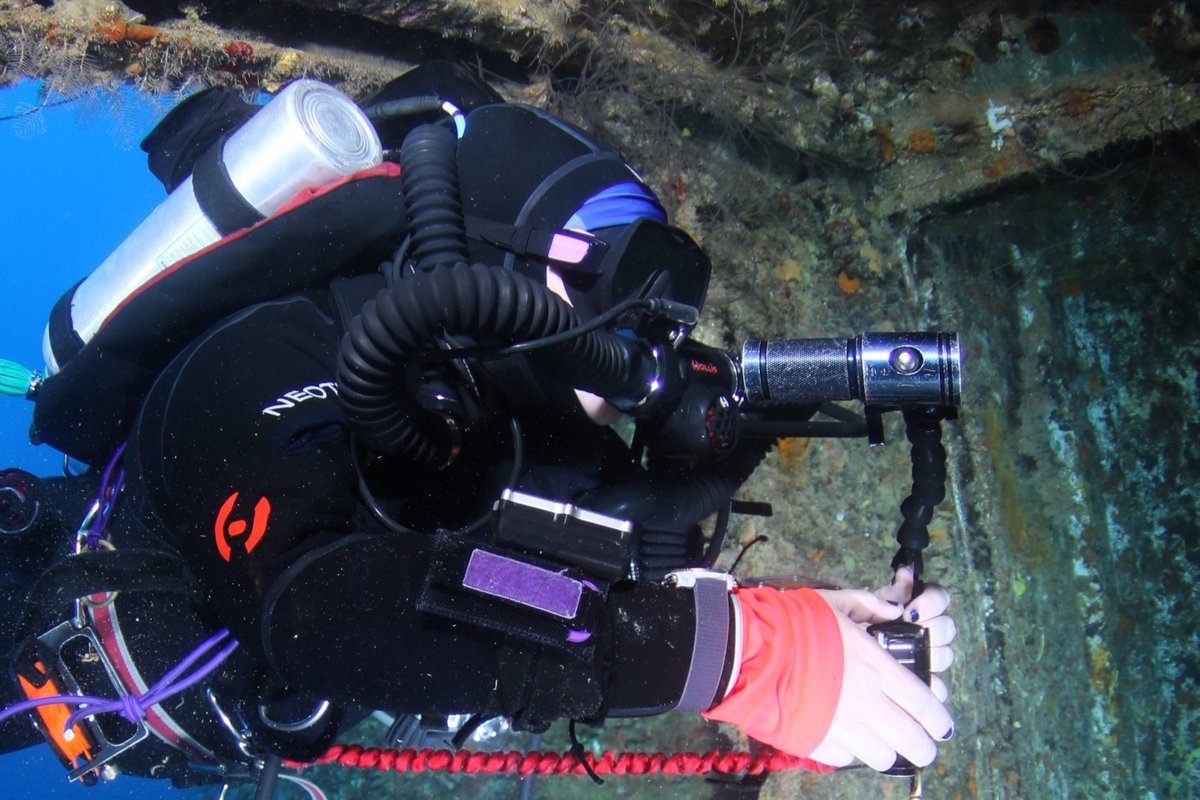 Diversinc's tweet image. Exploring your world underwater is in your future... ask us to guide you and we will. #learntoscuba #learntodive